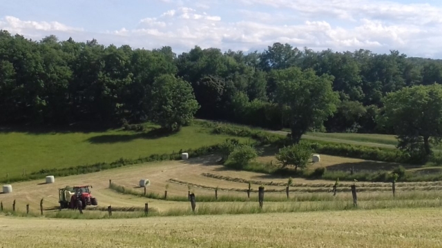 L'Oustal de Gradide, fromage de brebis bio d'Occitanie