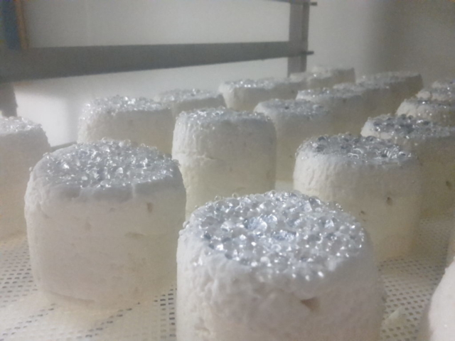 L'Oustal de Gradide, fromage de brebis bio d'Occitanie