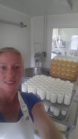 L'Oustal de Gradide, fromage de brebis bio d'Occitanie
