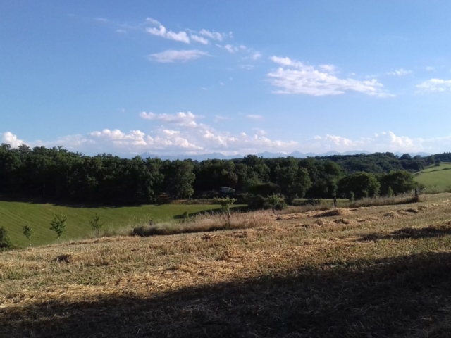 L'Oustal de Gradide, fromage de brebis bio d'Occitanie