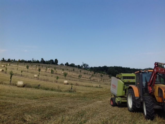 L'Oustal de Gradide, fromage de brebis bio d'Occitanie