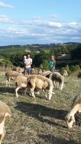 L'Oustal de Gradide, fromage de brebis bio d'Occitanie