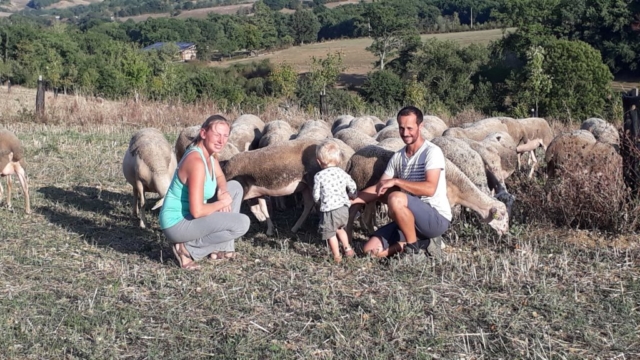 L'Oustal de Gradide, fromage de brebis bio d'Occitanie