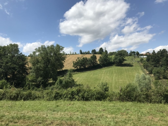 L'Oustal de Gradide, fromage de brebis bio d'Occitanie