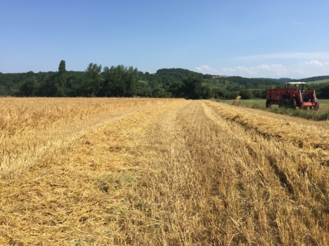 L'Oustal de Gradide, fromage de brebis bio d'Occitanie