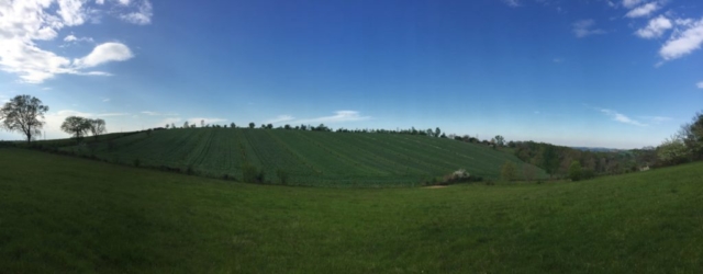 L'Oustal de Gradide, fromage de brebis bio d'Occitanie