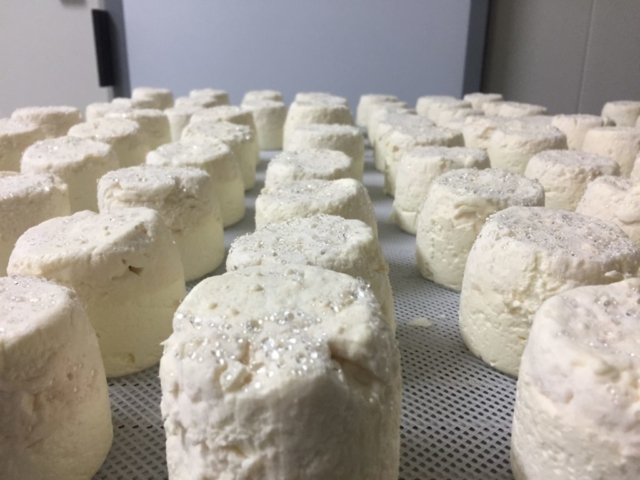 L'Oustal de Gradide, fromage de brebis bio d'Occitanie